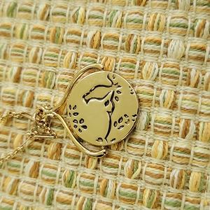 CHLOE & ISABEL necklace